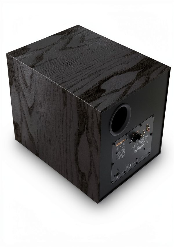 Klipsch R-101SW Subwoofer Home Theater Speaker-2