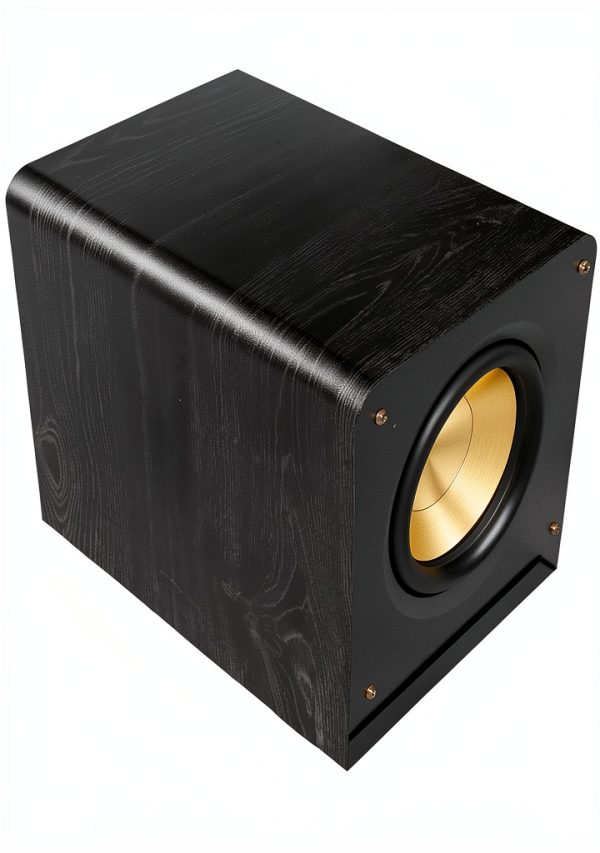 Klipsch Subwoofer 12in Floorstanding Black-5