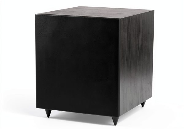 Pavo 12" High Performance Powered Subwoofer Wood Floor-2